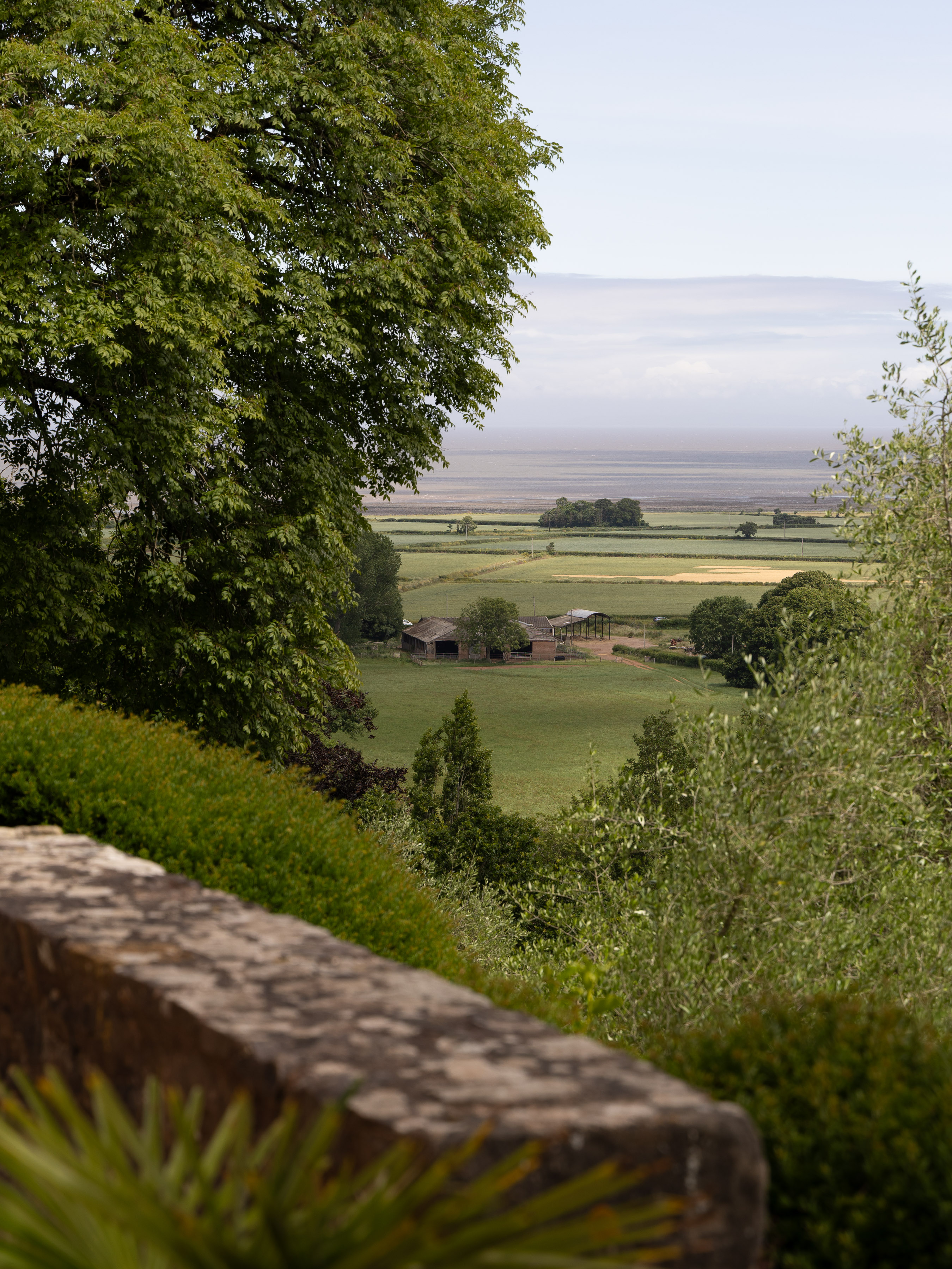 View of the Somerset Levels through trees from a hilltop garden wall in summer