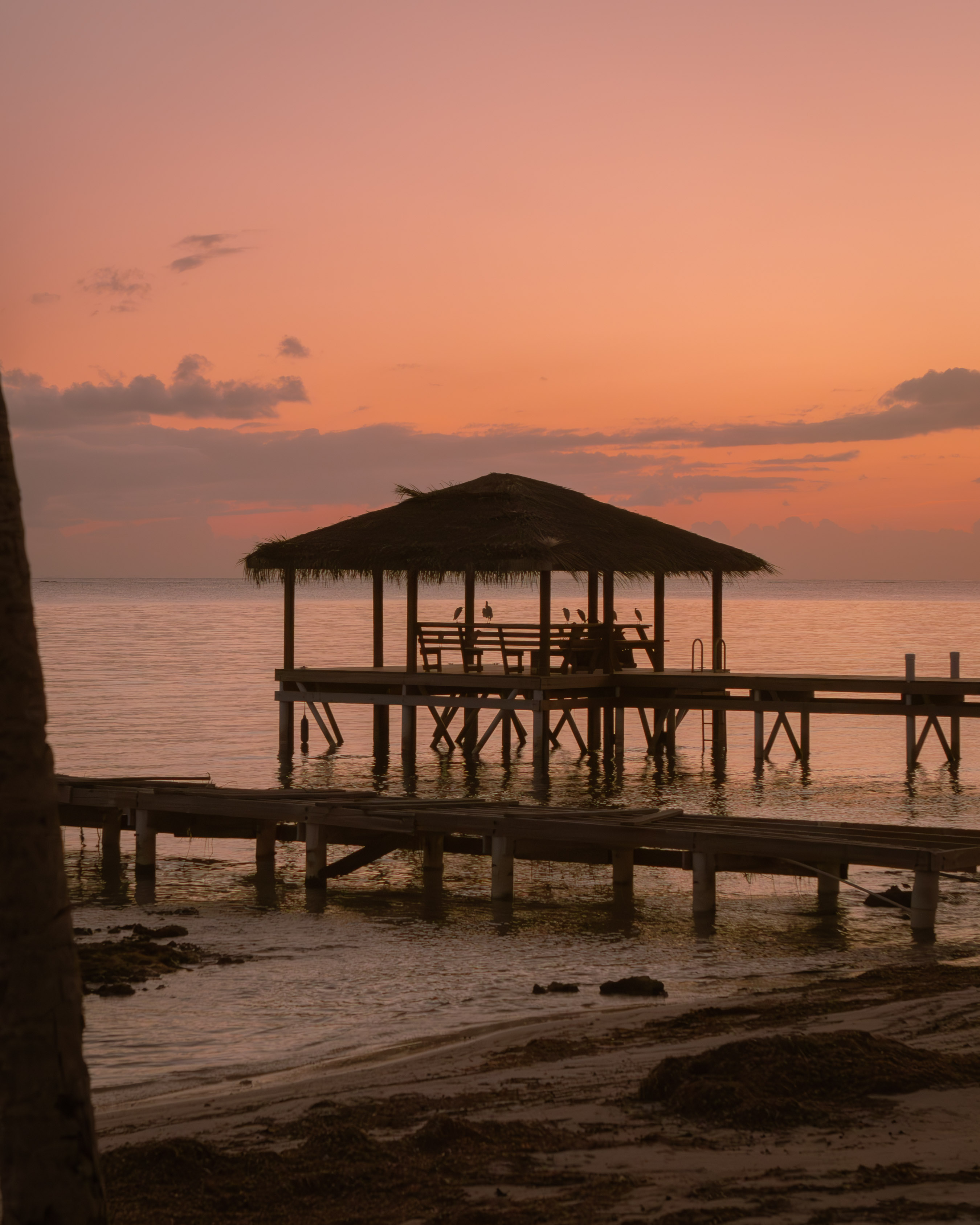 Thatched palapa over a wooden jetty at sunset over a tropical sea