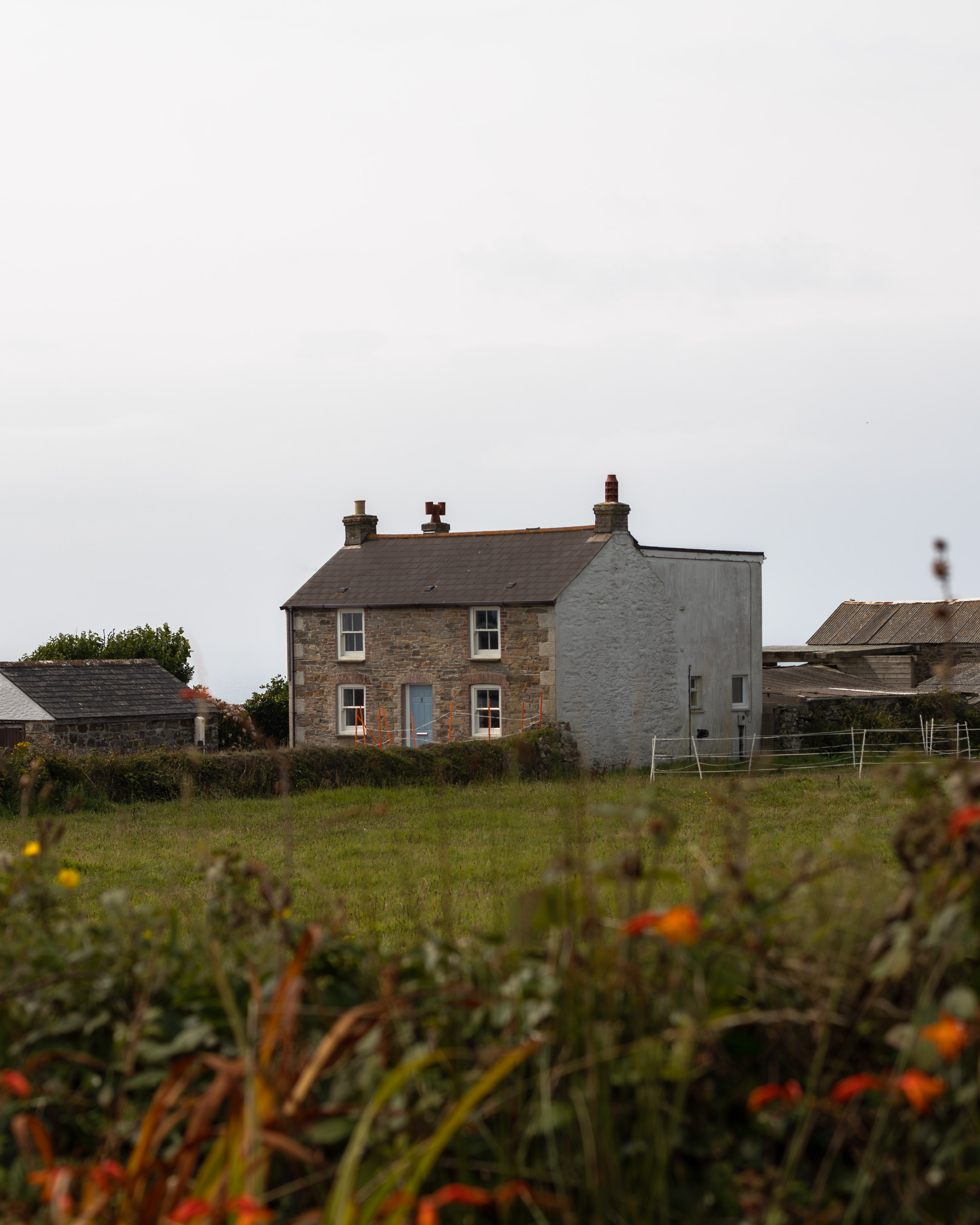 Whitewashed Cornish farmhouse on a windswept clifftop with wildflowers in the foreground