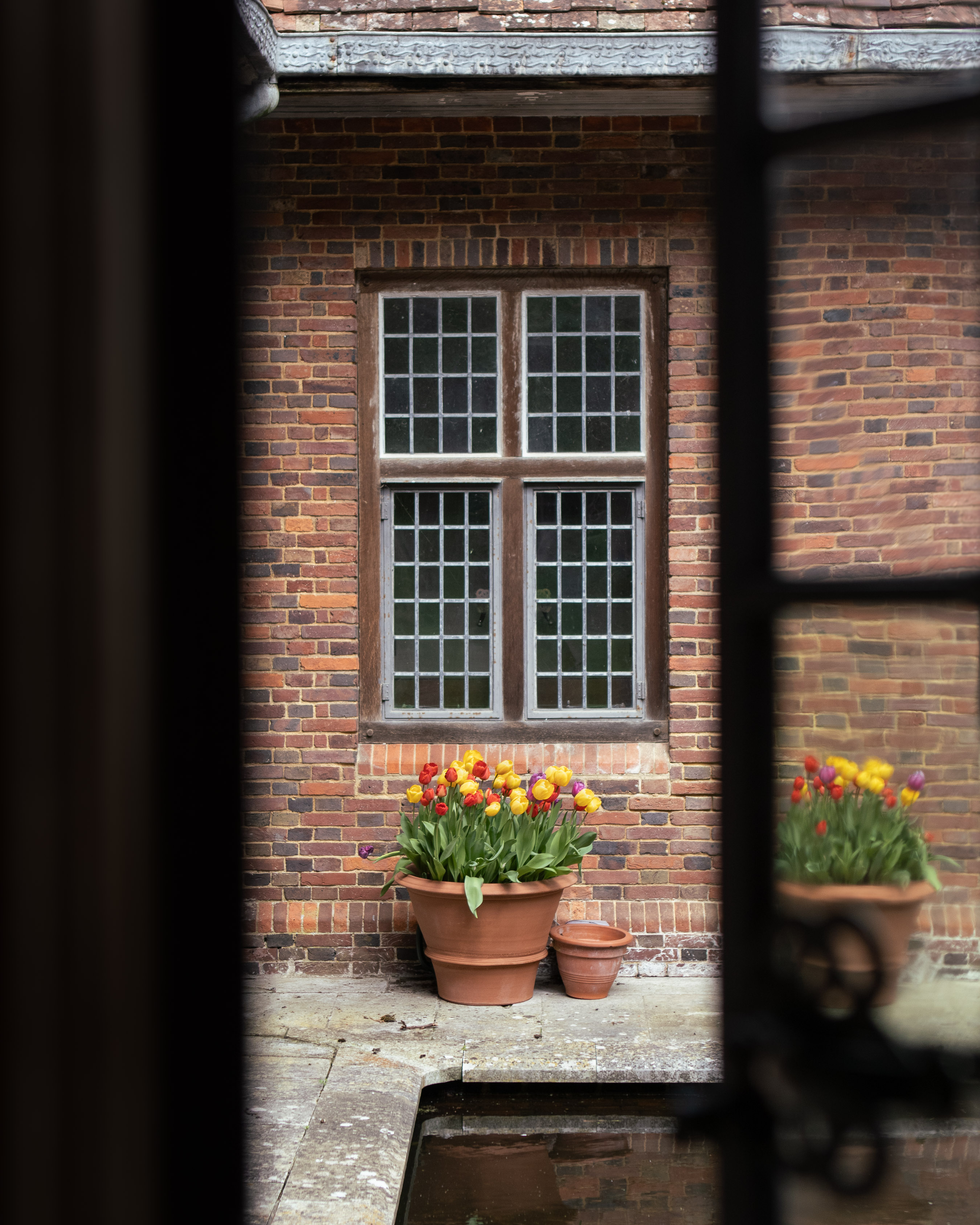 Barrington Court, Tudor brick window framed through black metalwork, with terracotta pots of red and yellow tulips on the flagstones below