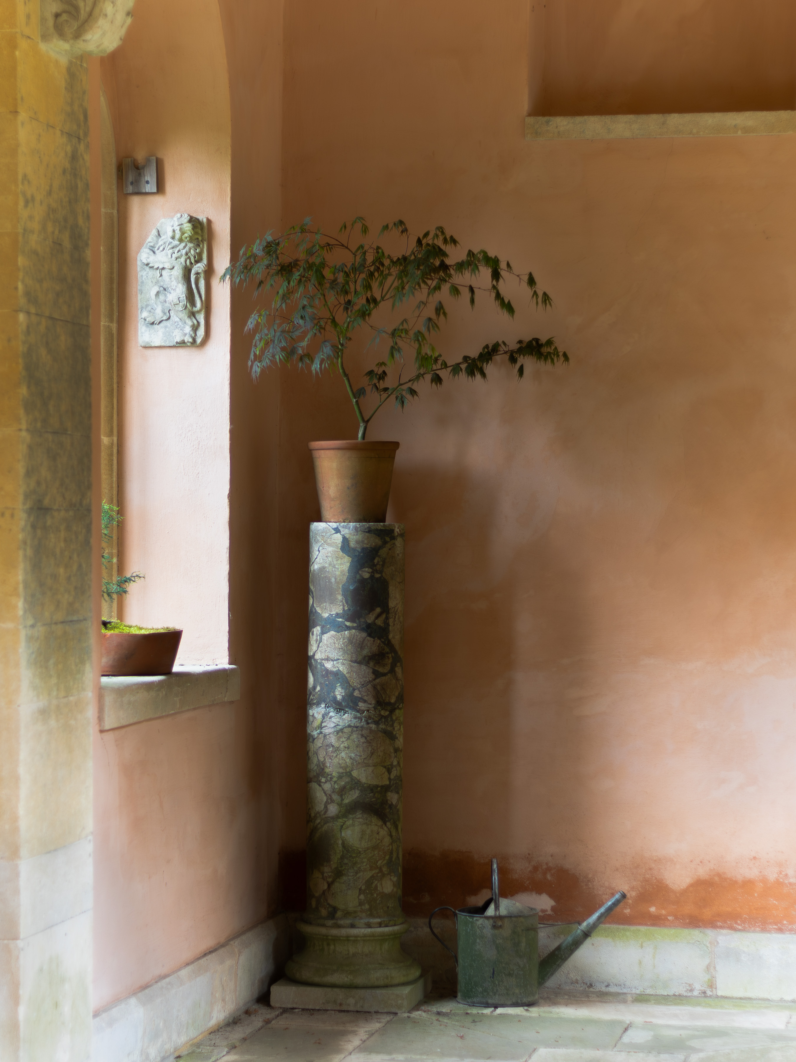 Iford Manor and Gardens, potted Japanese maple on a tall marbled stone column in an apricot-washed cloister, with a carved lion plaque and an old copper watering can on the flagstones