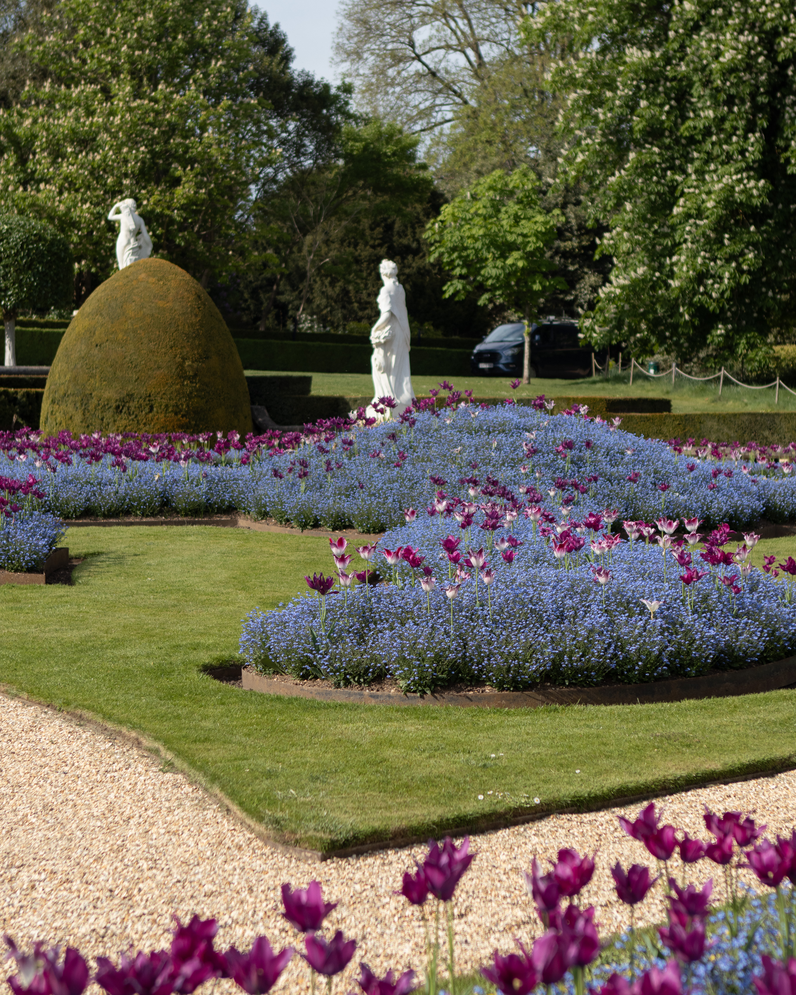 Waddesdon Manor, sweeping curved beds of blue forget-me-nots and purple lily-flowered tulips edged in weathered steel, with a moss-covered domed yew and white marble statues beyond