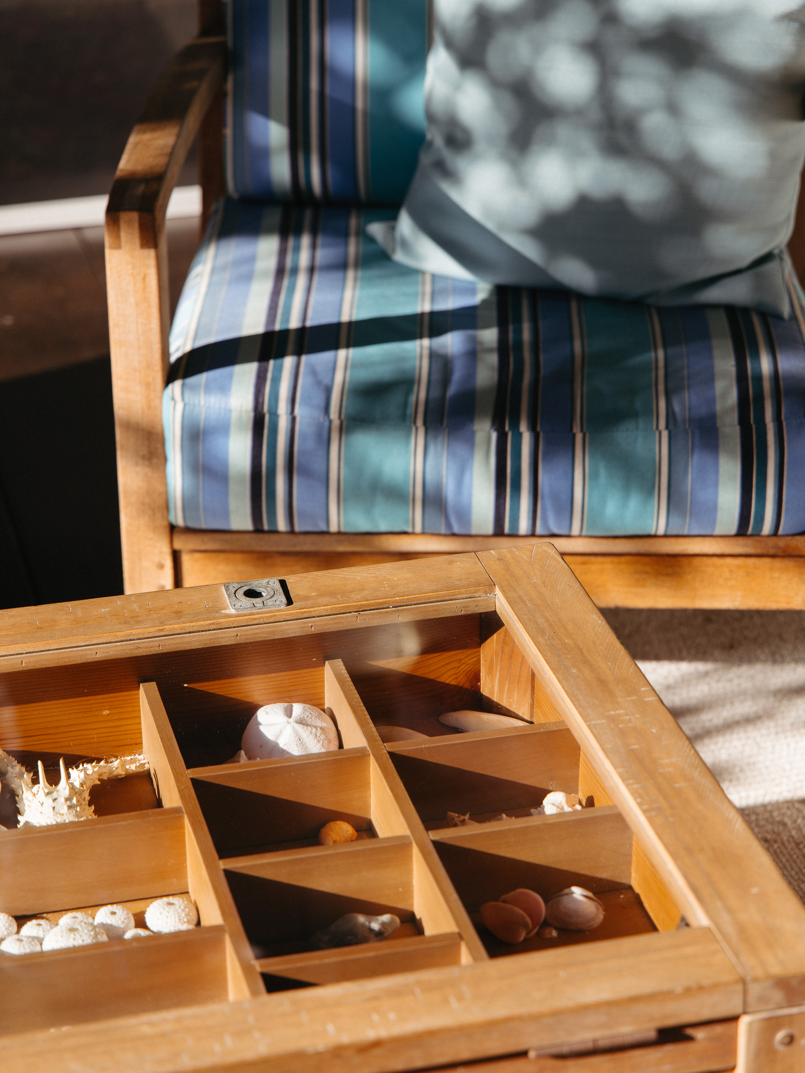 Sunlit wooden chair with striped blue cushion beside a vintage collector's cabinet of sea urchins and shells